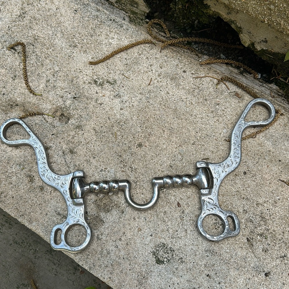 Horse bit